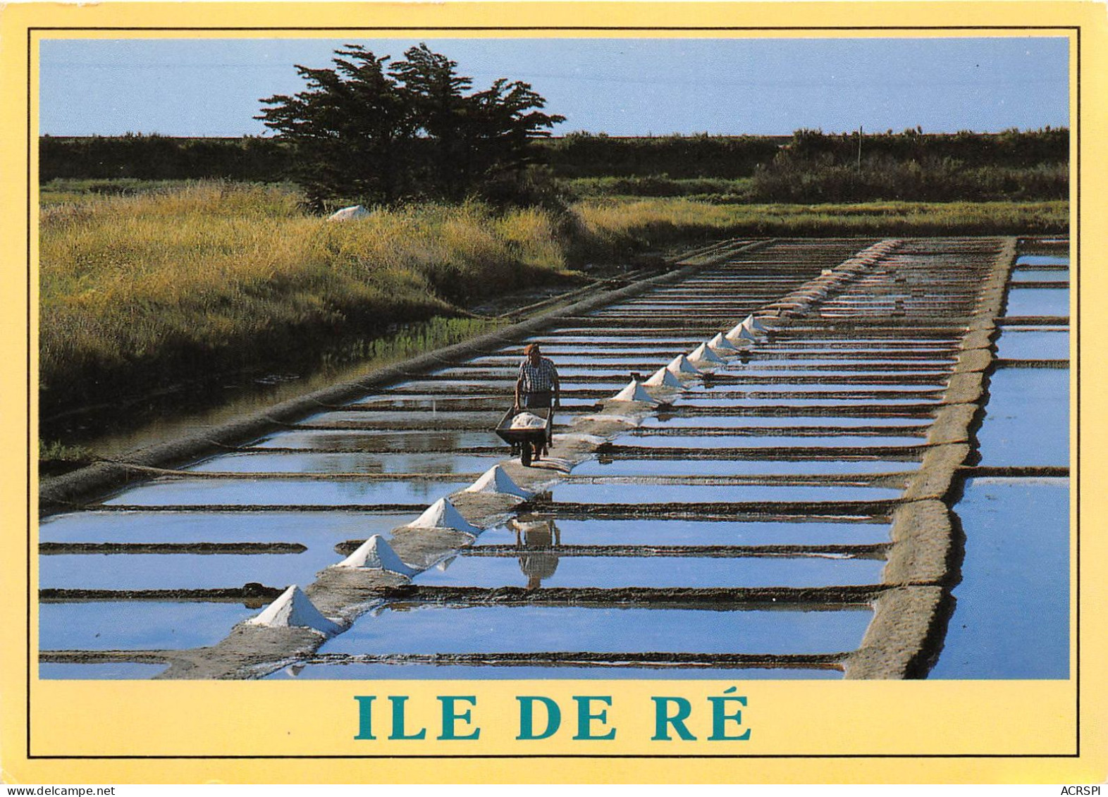 ILE DE RE Les Marais Salants 14(scan Recto-verso) MA2183 - Ile De Ré