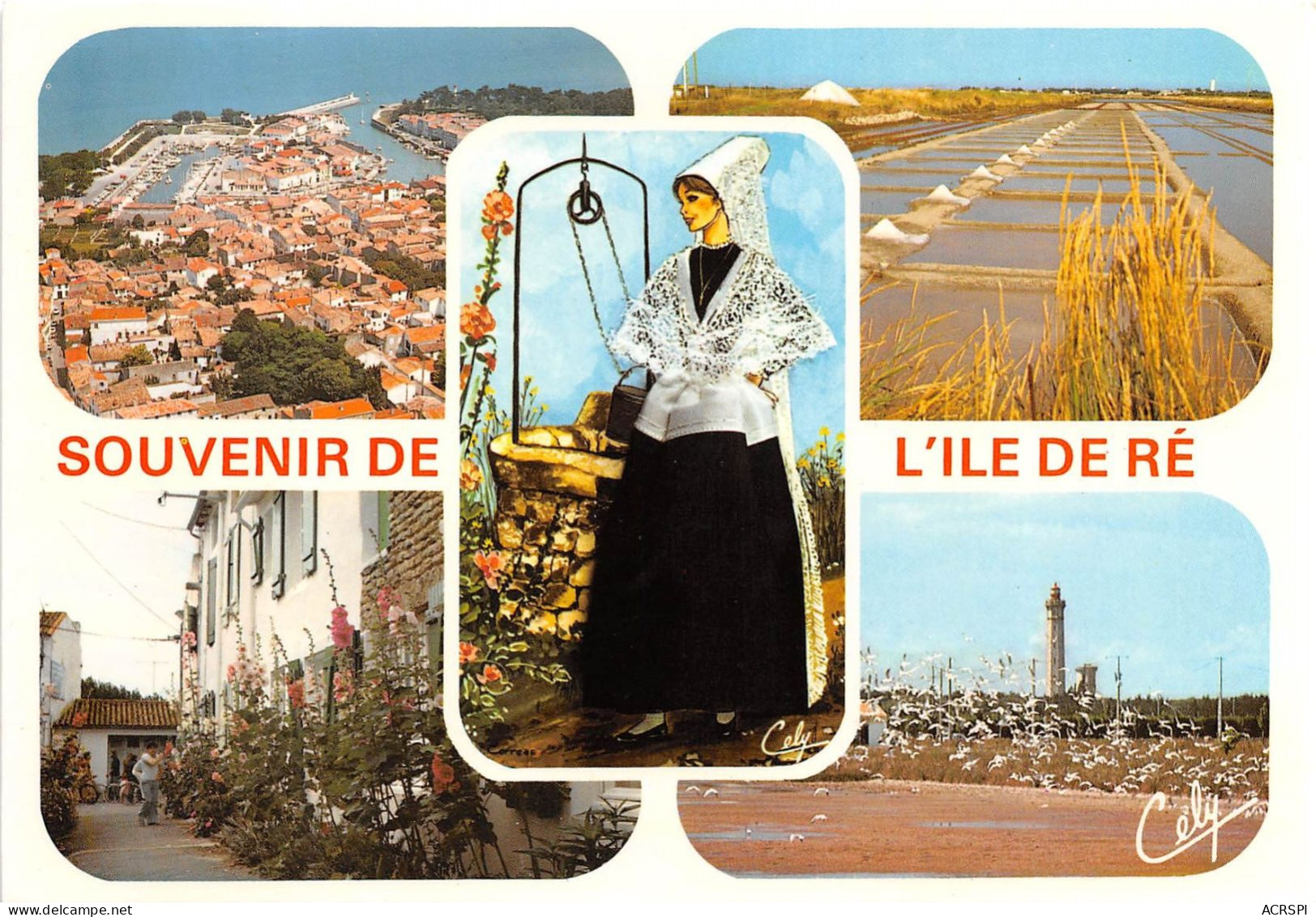 SOUVENIR DE L ILE DE RE ST MARTIN DE RE Les Marais Salants 21(scan Recto-verso) MA2183 - Ile De Ré