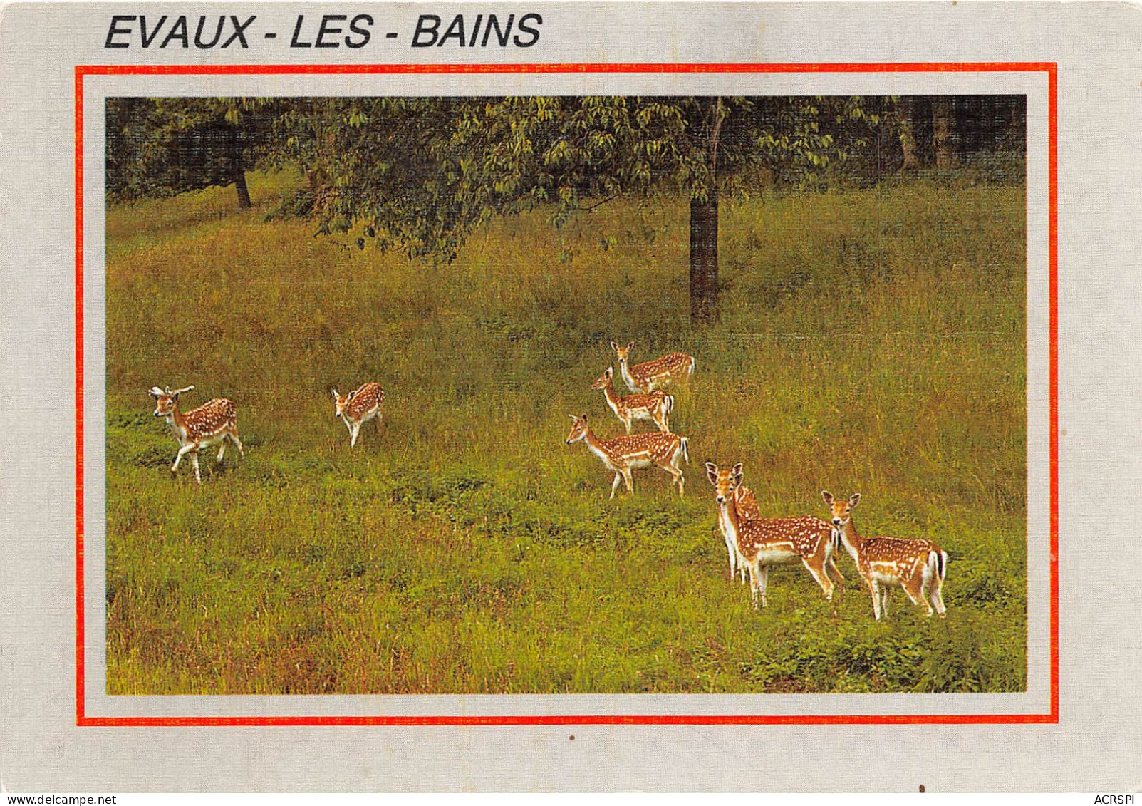 EVAUX LES BAINS Les Daims 27(scan Recto-verso) MA2182 - Evaux Les Bains