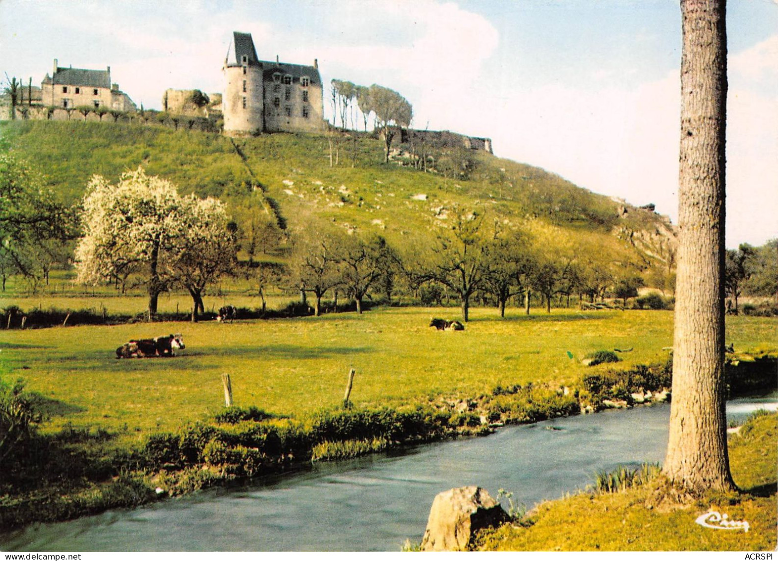 SAINTE SUZANNE  Le Chateau Et L' Erve 22(scan Recto-verso) MA2194 - Sainte Suzanne