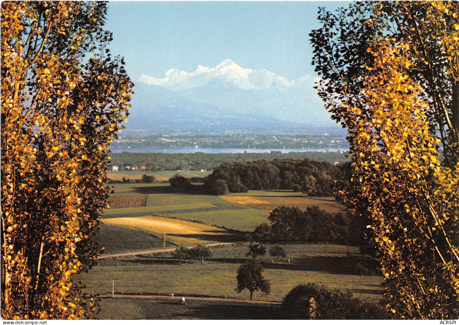 DIVONNE LES BAINS Le Lac Leman Et Le Mont Blanc Vus De Divonne 29(scan Recto-verso) MB2300 - Divonne Les Bains