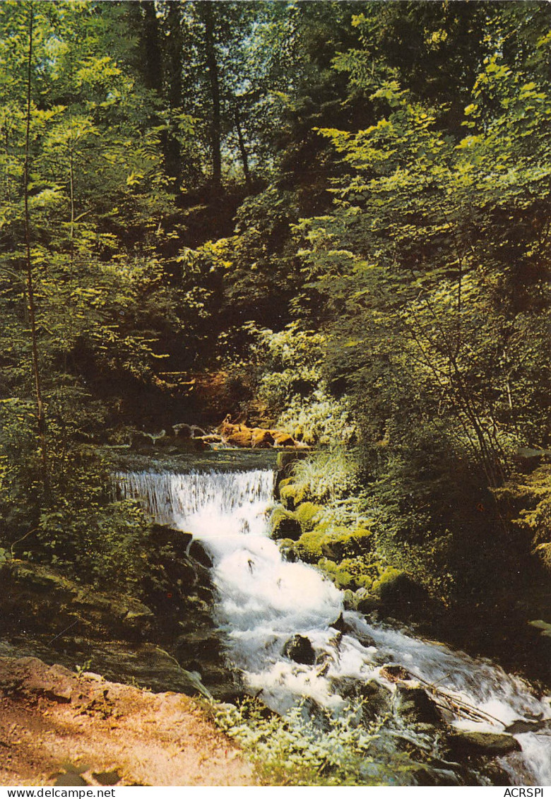 DIVONNE LES BAINS La Source De La Divonne 18(scan Recto-verso) MB2306 - Divonne Les Bains