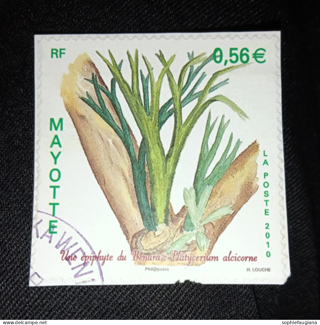 Mayotte Obl Sur Fragment N° 236 - Used Stamps