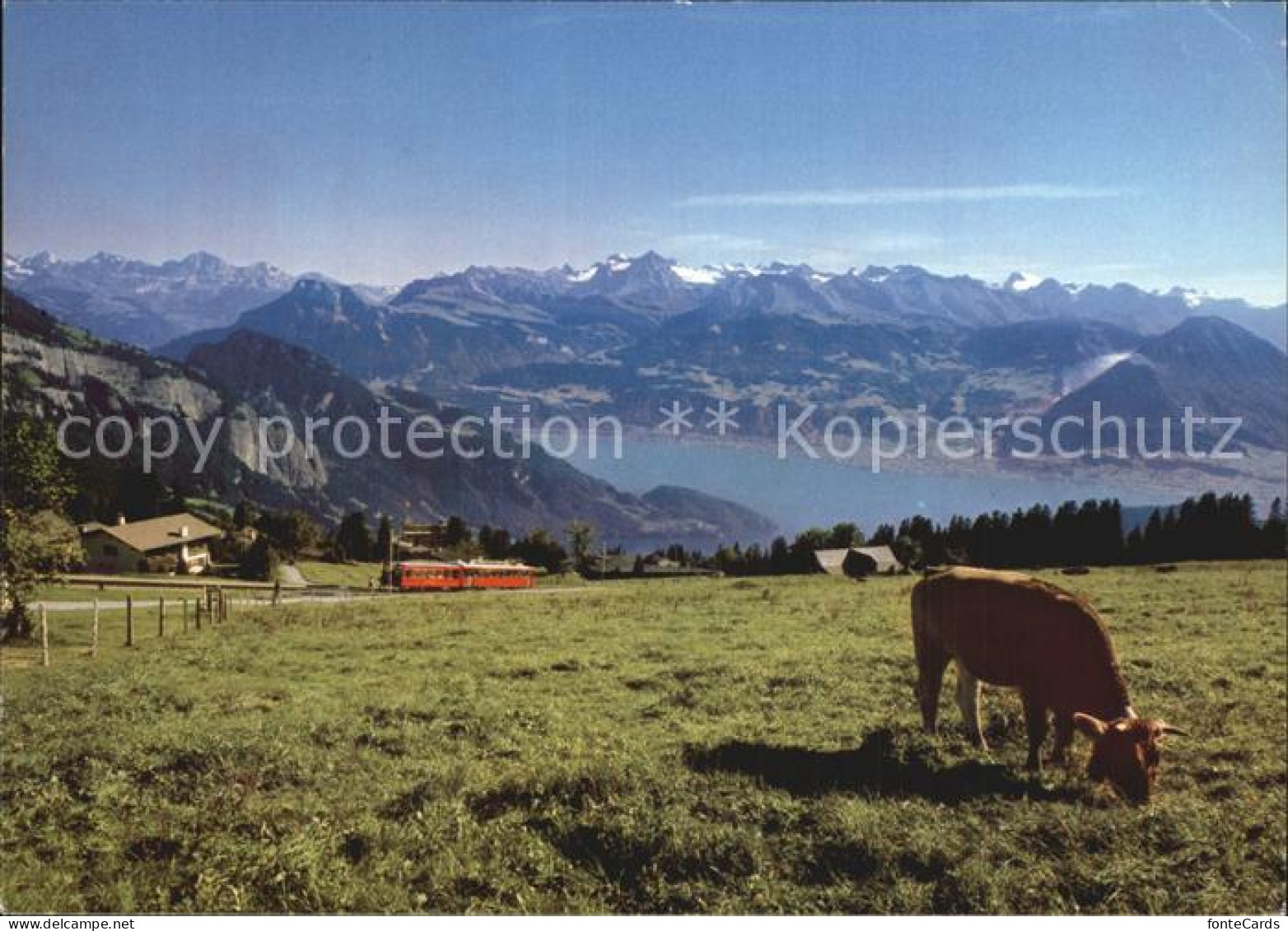 12514329 Rigi Mit Viewaldstaettersee Rigi - Altri & Non Classificati