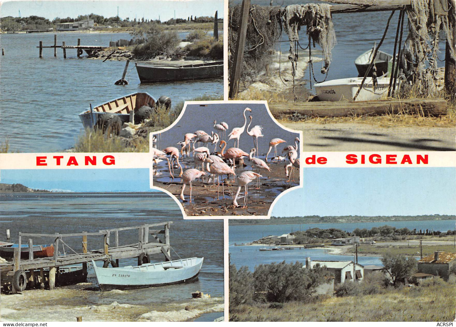 ETANG DE SIGEAN Les Cabanes Maisons De Pecheurs Une Colonie De Flamants 24scan Recto-verso) MB2326 - Sigean