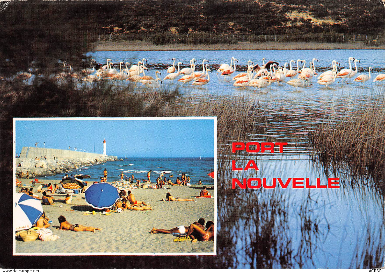 PORT LA NOUVELLE Ses Etangs Sa Plage 2(scan Recto-verso) MB2341 - Port La Nouvelle