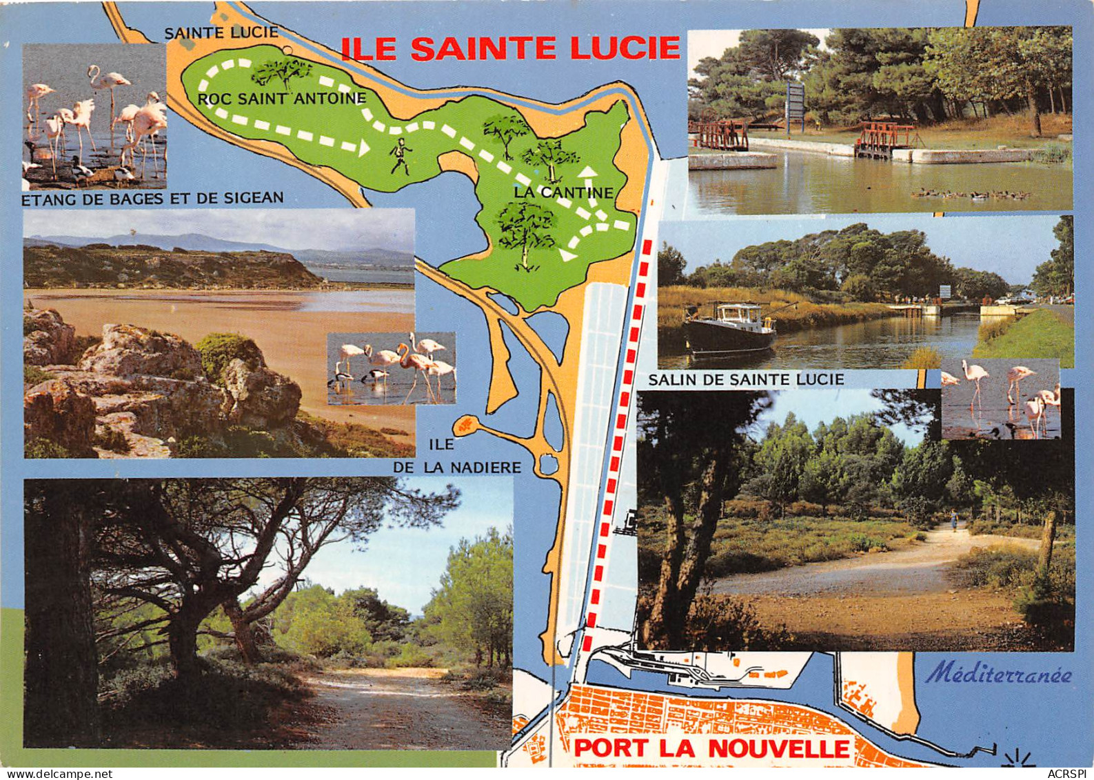 PORT LA NOUVELLE Ile Sainte Lucie Espace De Randonnee Site Naturel Protege 11(scan Recto-verso) MB2343 - Port La Nouvelle