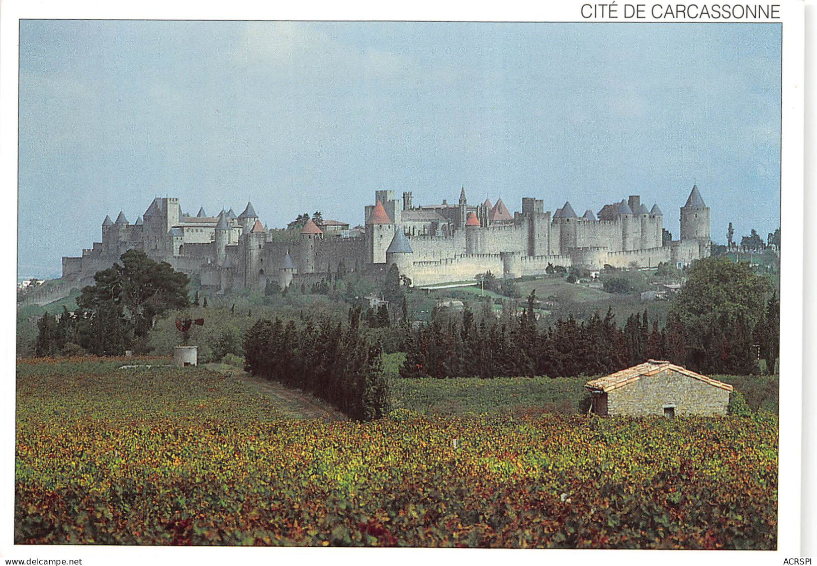CITE DE CARCASSONNE Vue Des Flancs Sud Et Ouest De La Cite Medievale 25(scan Recto-verso) MB2345 - Carcassonne