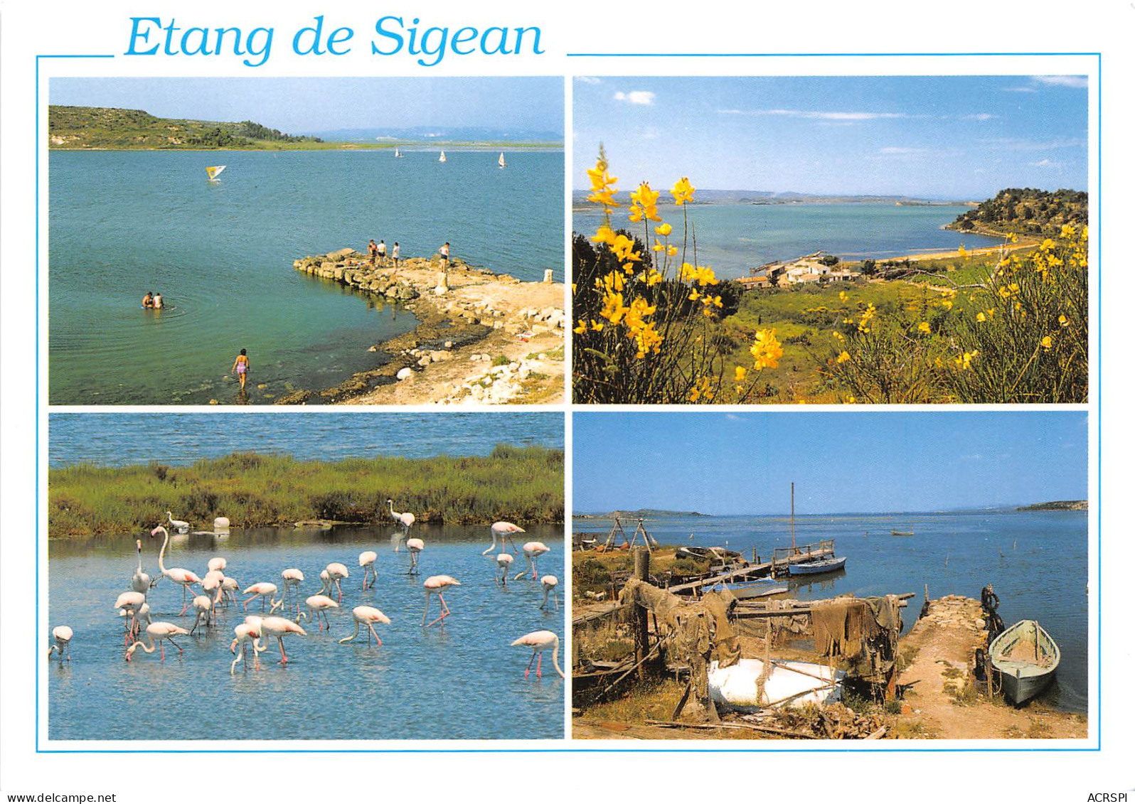 ETANG DE SIGEAN 1(scan Recto-verso) MB2351 - Sigean