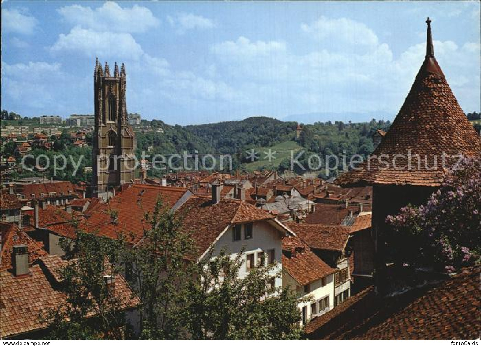 12503600 Fribourg FR Cathedrale Et Vue Sur La Ville Fribourg - Andere & Zonder Classificatie