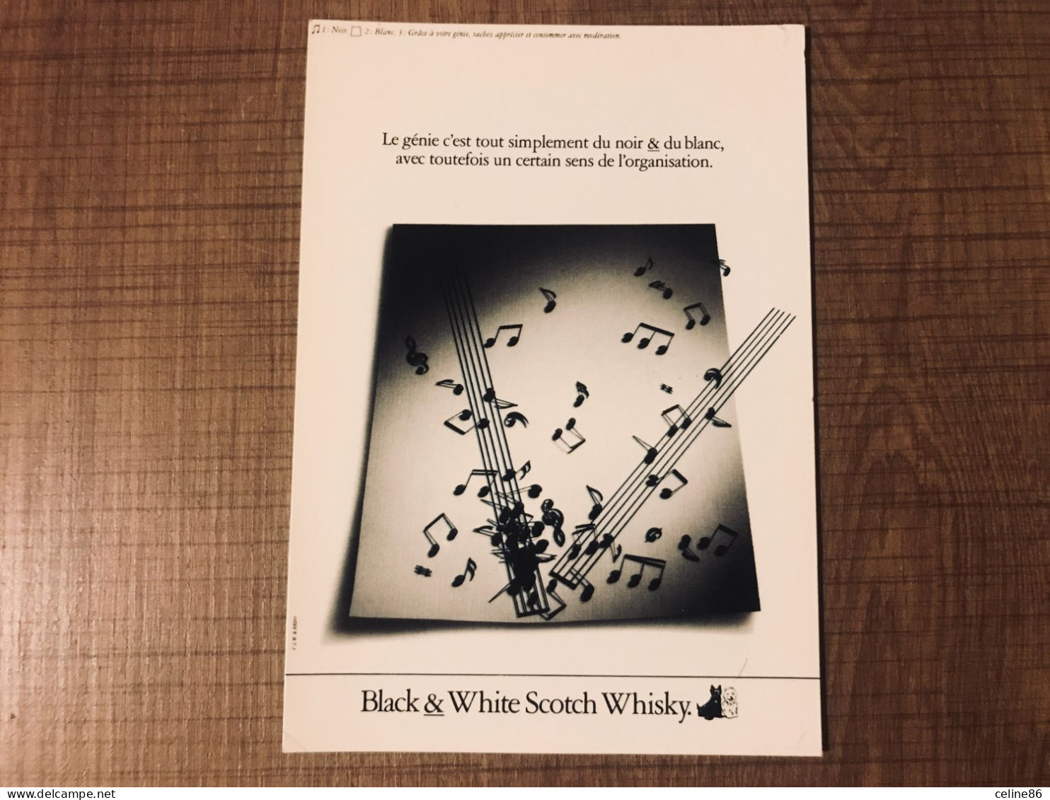 Campagne BLACK & WHITE SCOTCH WHISKY - Pubblicitari