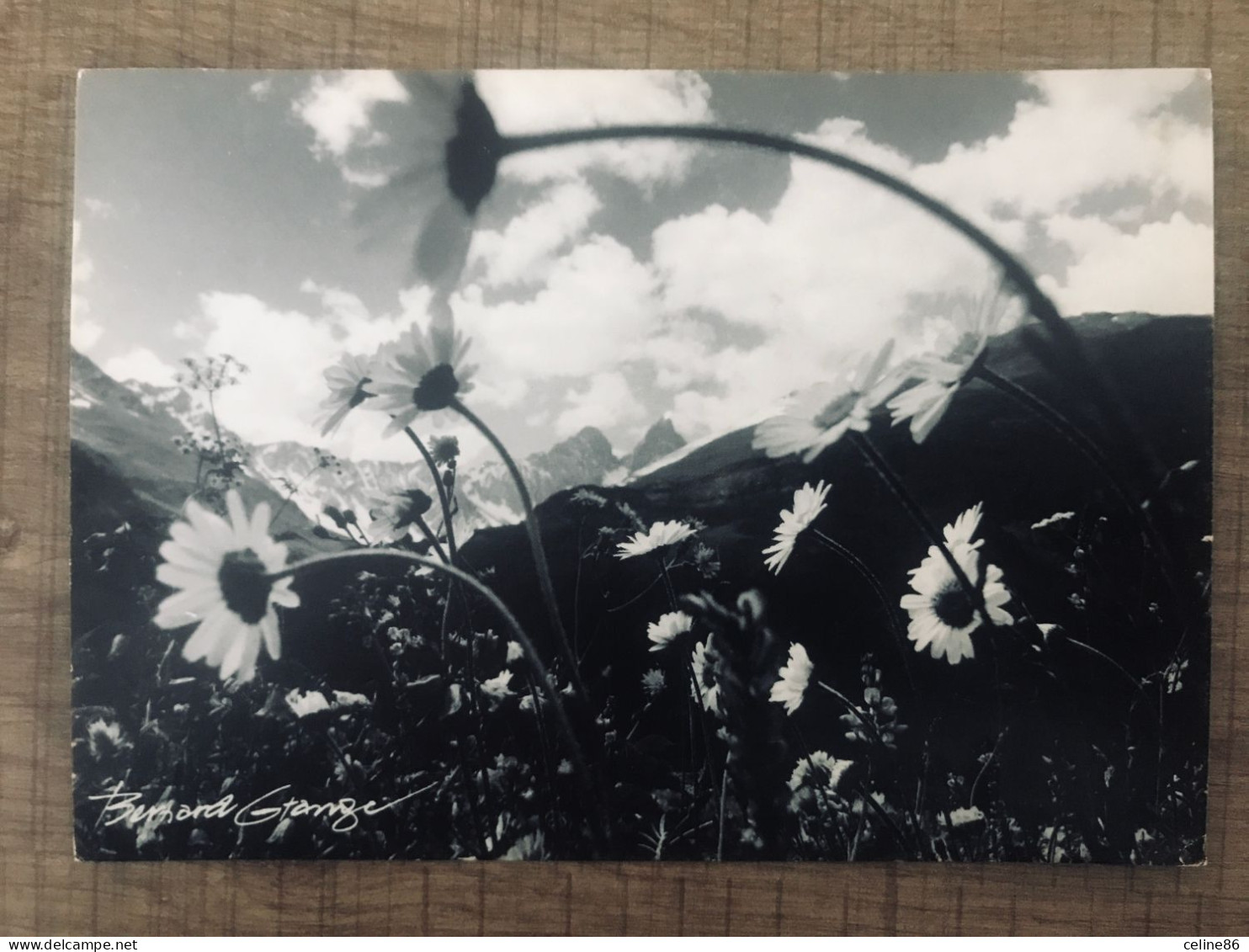 Un Certain Regard …bernard GRANGE - Photographs