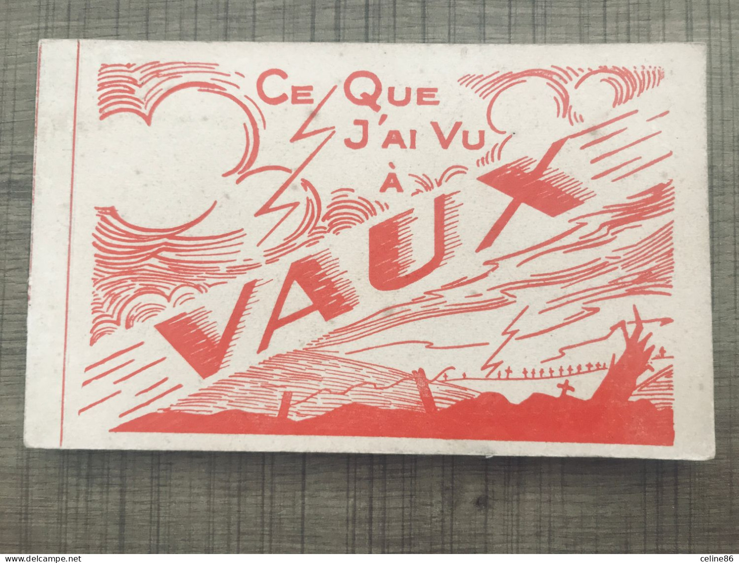 Carnet Ce Que J'ai Vu à Vaux Verdun Editions - War 1914-18