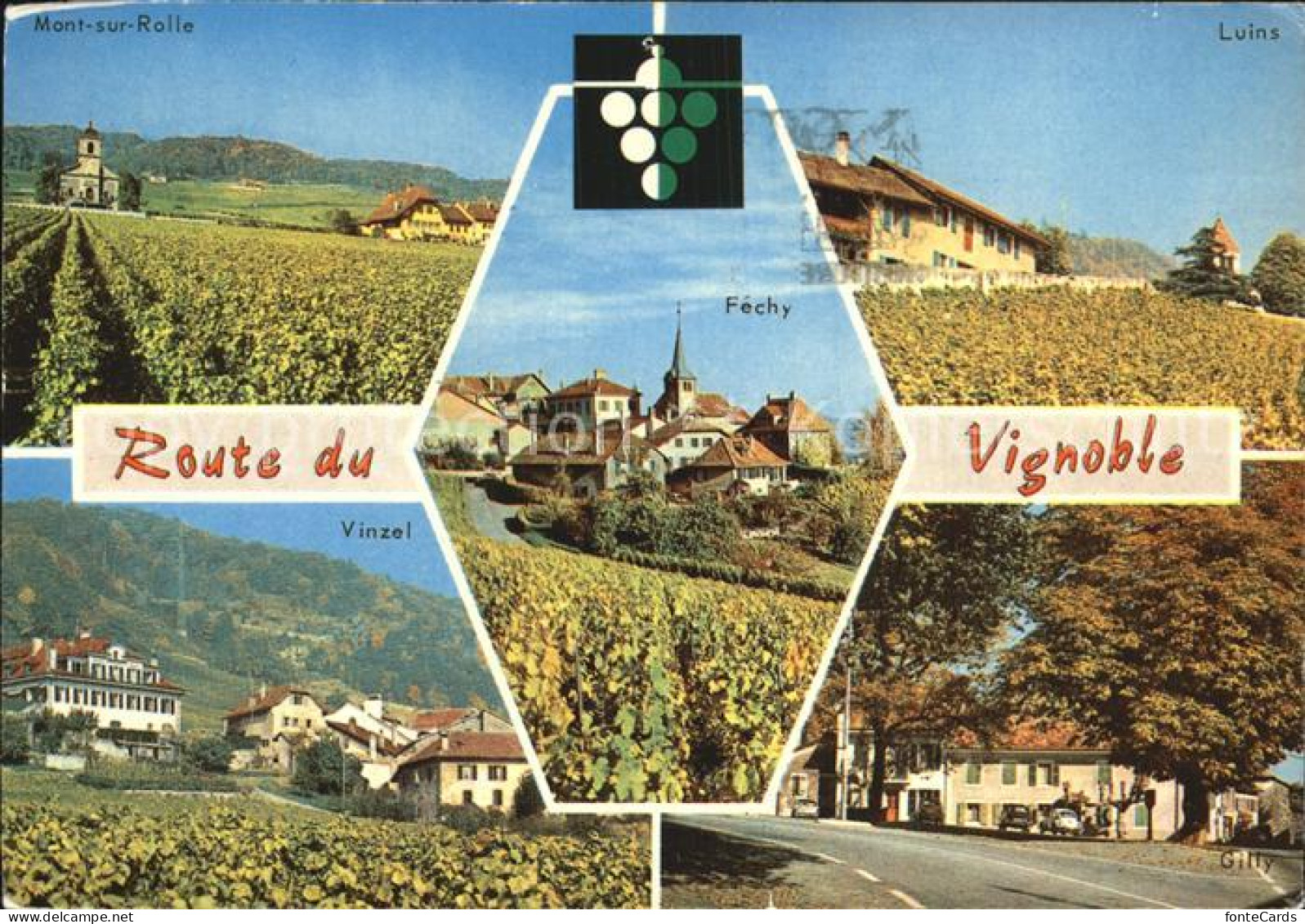 12493810 Nyon VD Route Du Vignoble Mont Sur Rolle Luins Vinzel Gilly Fechy Nyon - Autres & Non Classés