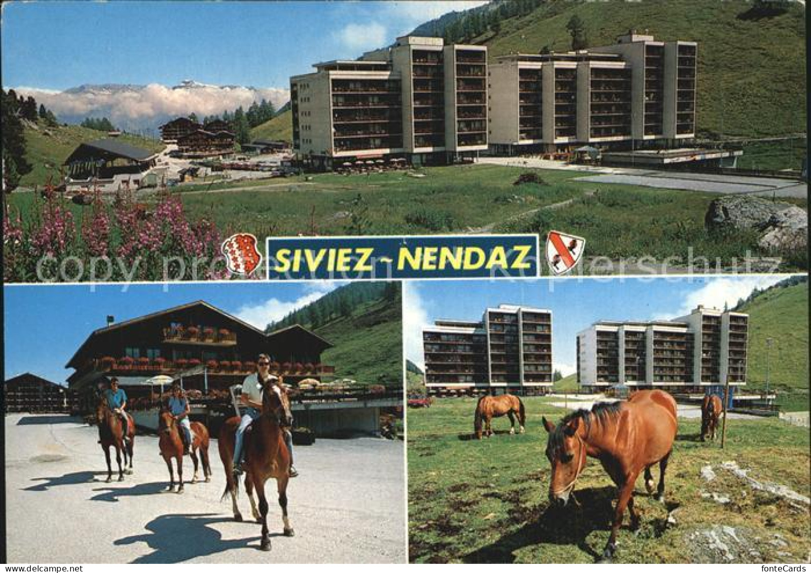 12493754 Siviez Nendaz Hotel Pferde Reiten Siviez - Other & Unclassified