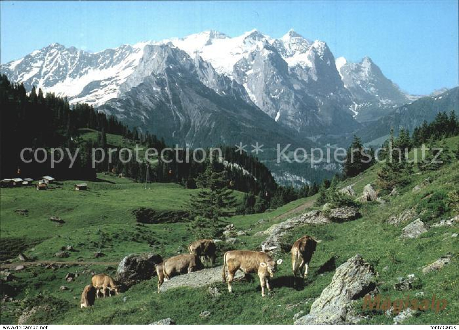 12488850 Meiringen Hasliberg Maegisalp Engelhoerner Wetterhorn-Gruppe Meiringen  - Autres & Non Classés