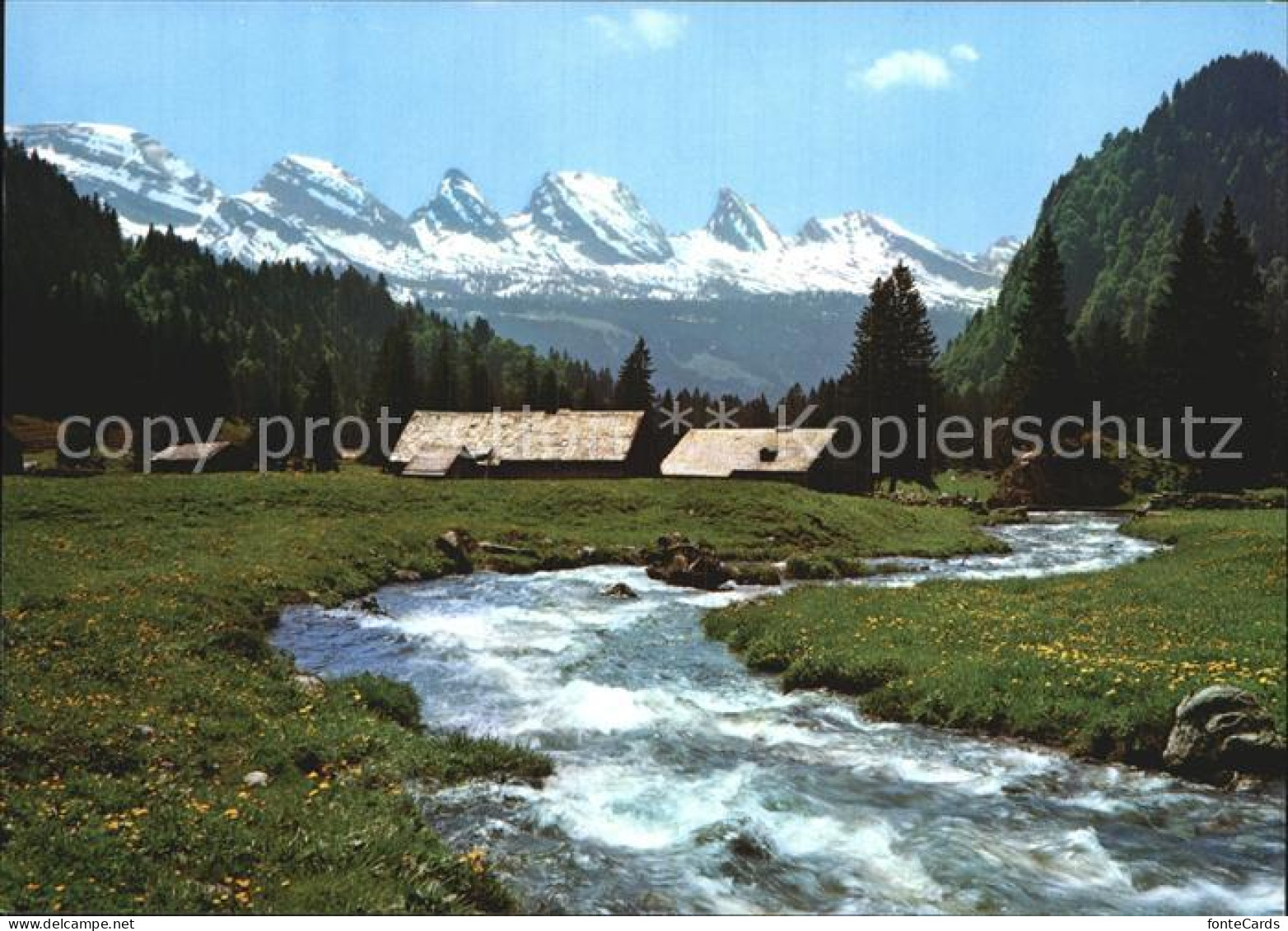 12487771 Obertoggenburg Aelpli Mit Churfirsten Wildhaus - Autres & Non Classés