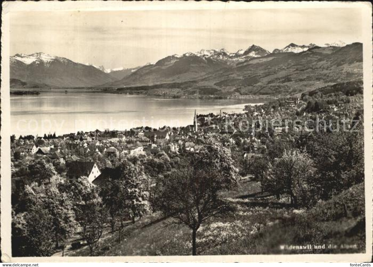 12485553 Waedenswil Blick Auf Die Alpen Waedenswil - Autres & Non Classés