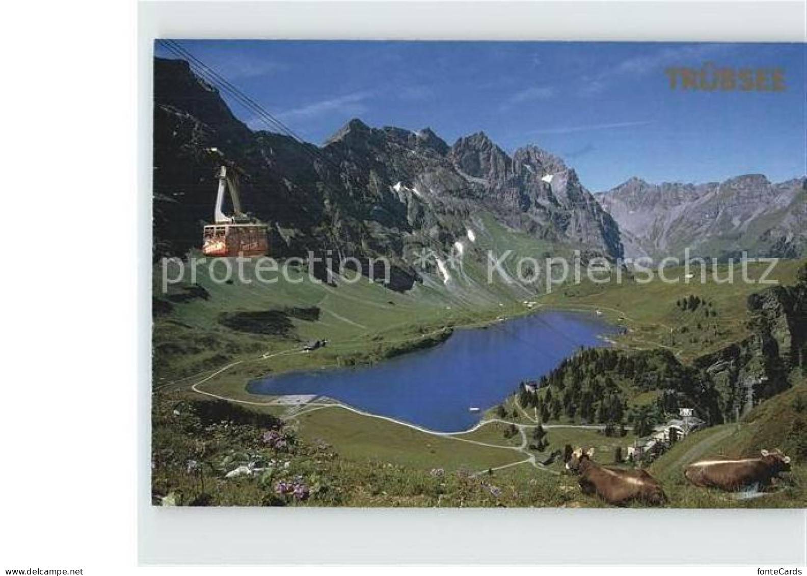 12482311 Truebsee OW Seilbahn  Engelberg - Altri & Non Classificati