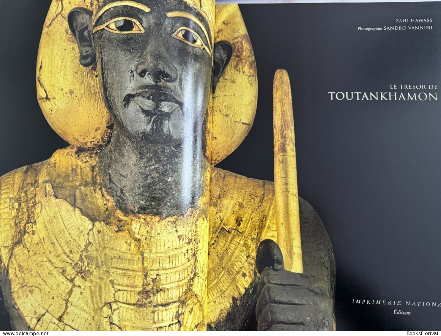 Le Trésor De Toutankhamon - Zahi Hawass - Geschichte