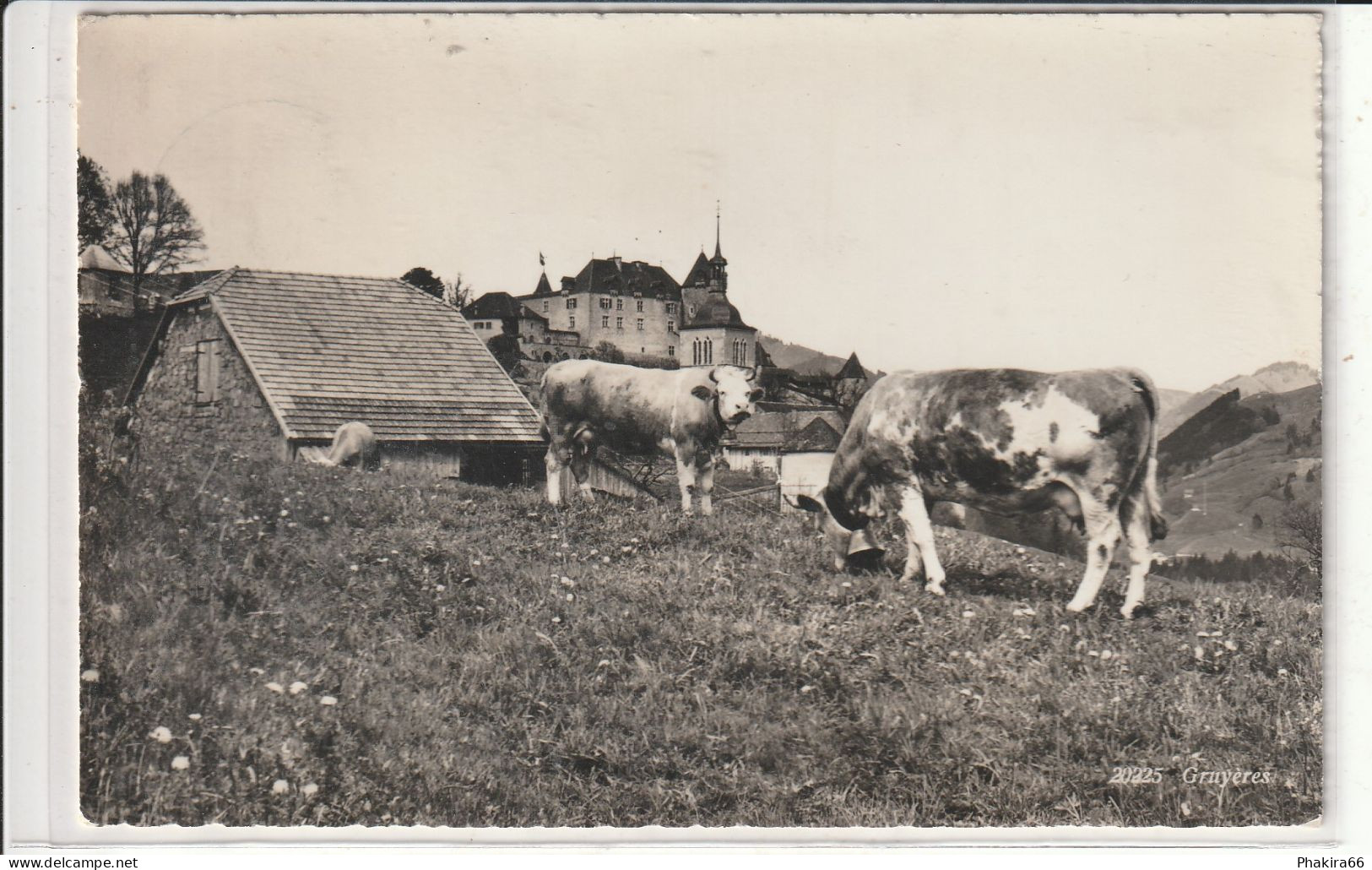 ALP BEI GRUYERES - Gruyères