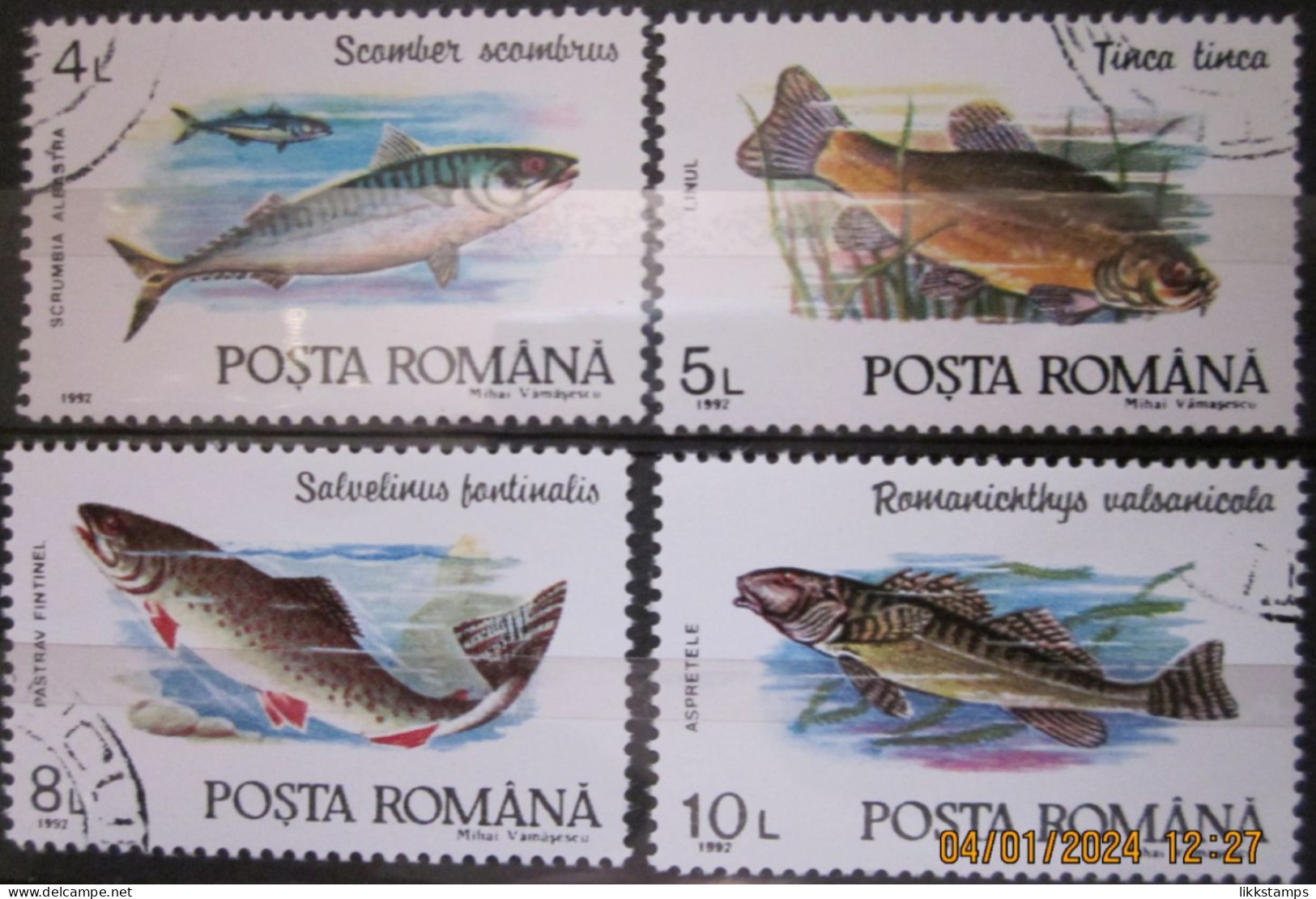 ROMANIA ~ 1992 ~ S.G. NUMBERS 5424 - 5427 ~ FISH ~ VFU #03563 - Oblitérés