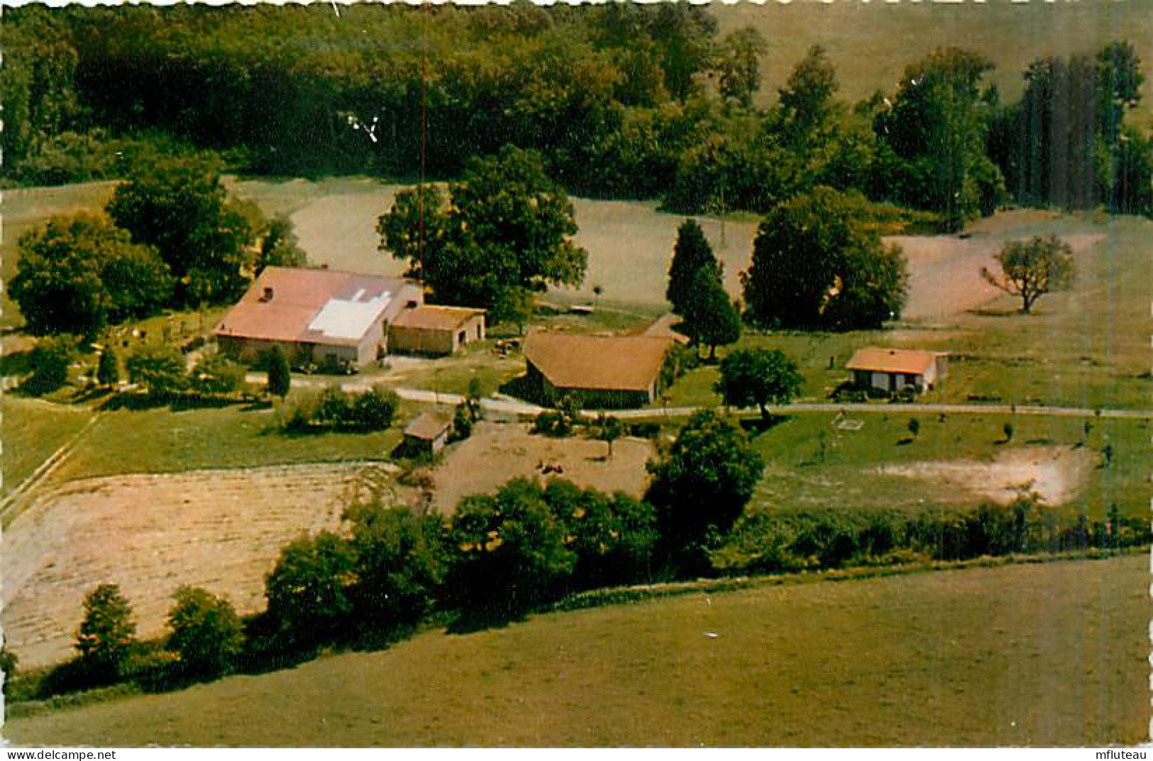 32* PEYRUSSE GRANDE Camping A La Ferme  (CPSM Petit Format)          MA90,1025 - Andere & Zonder Classificatie