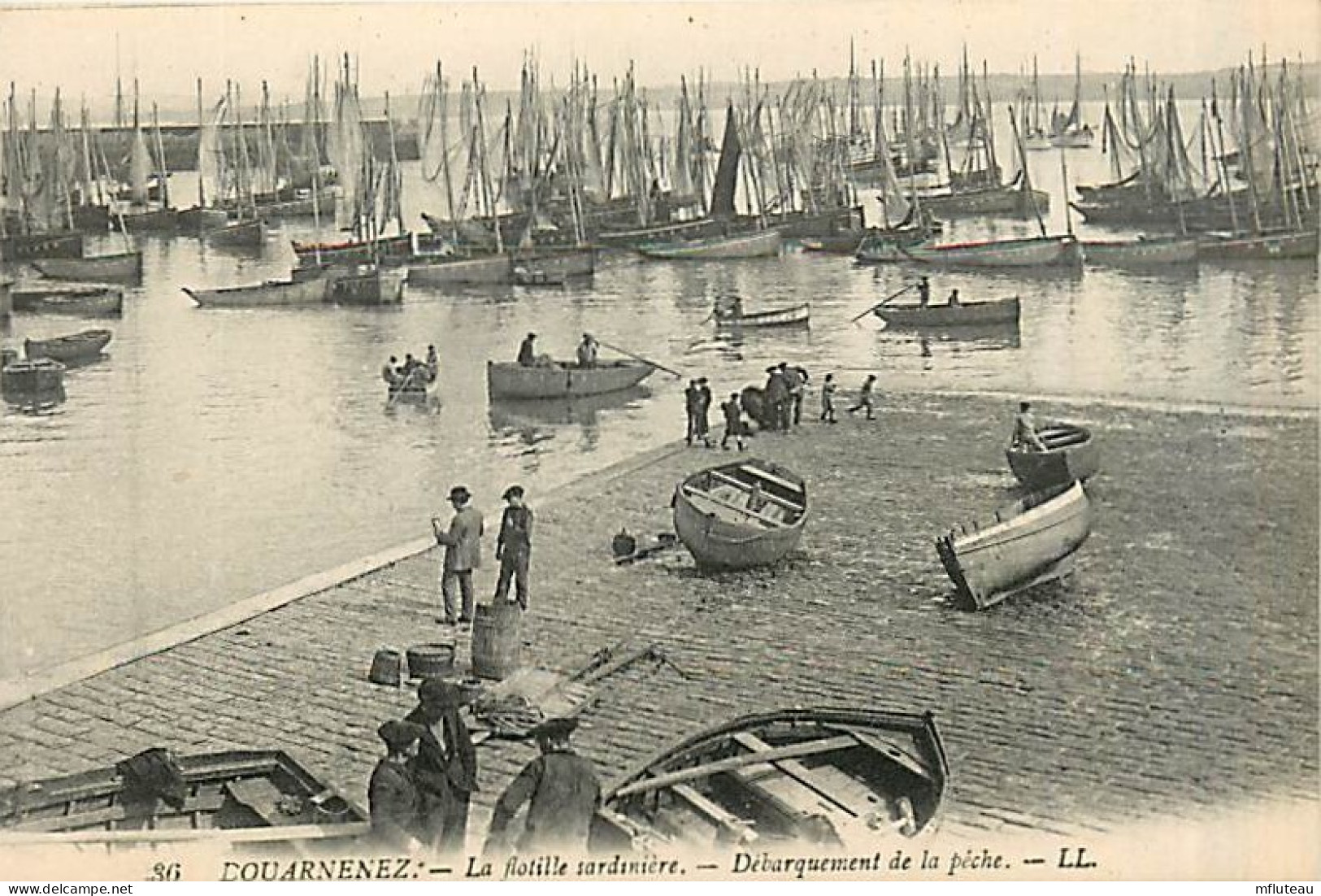 29* DOUARNENEZ  Flotille Sardinniers           MA90,0938 - Douarnenez