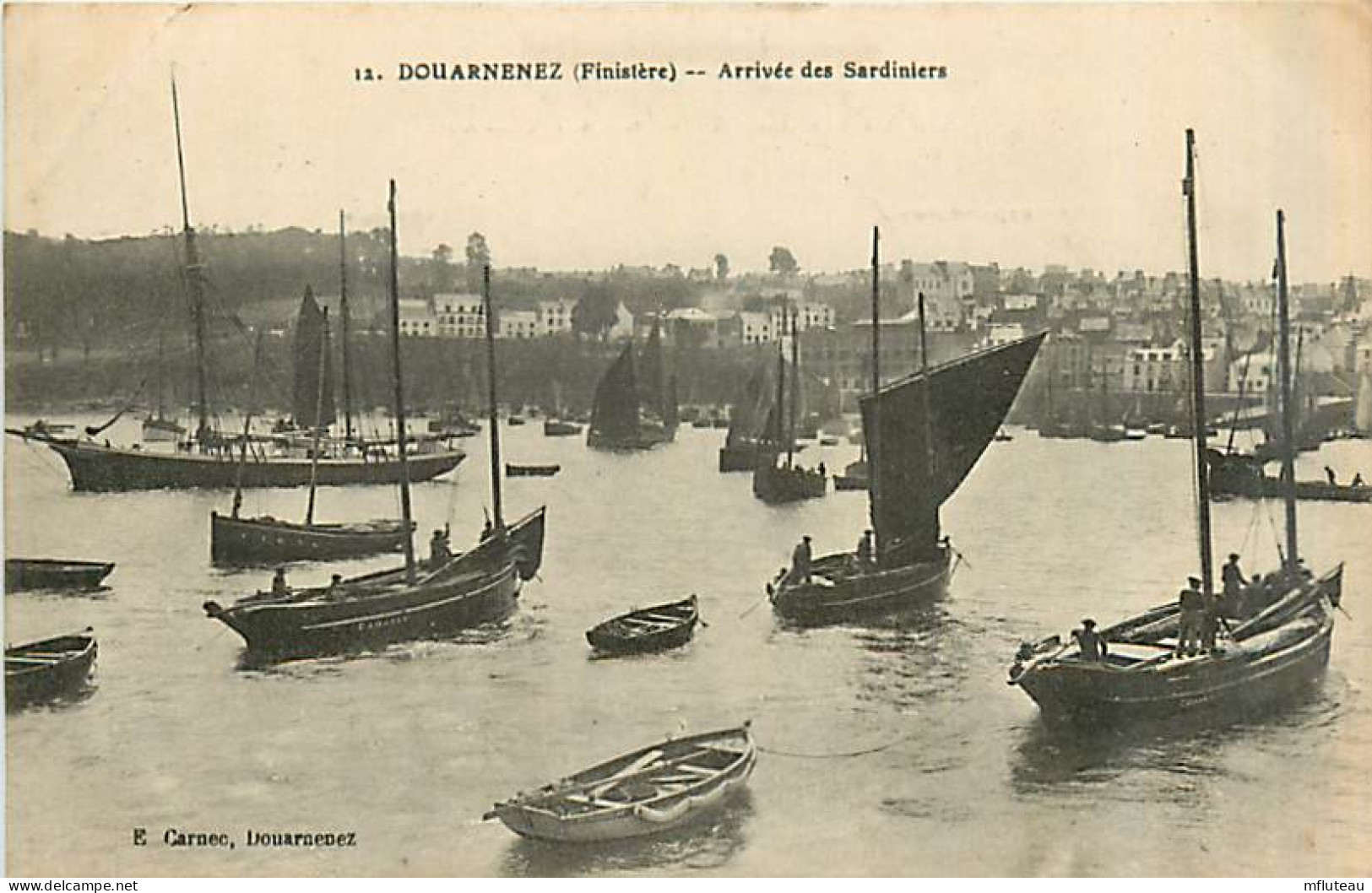 29* DOUARNENEZ  Sardiniers          MA90,0874 - Douarnenez