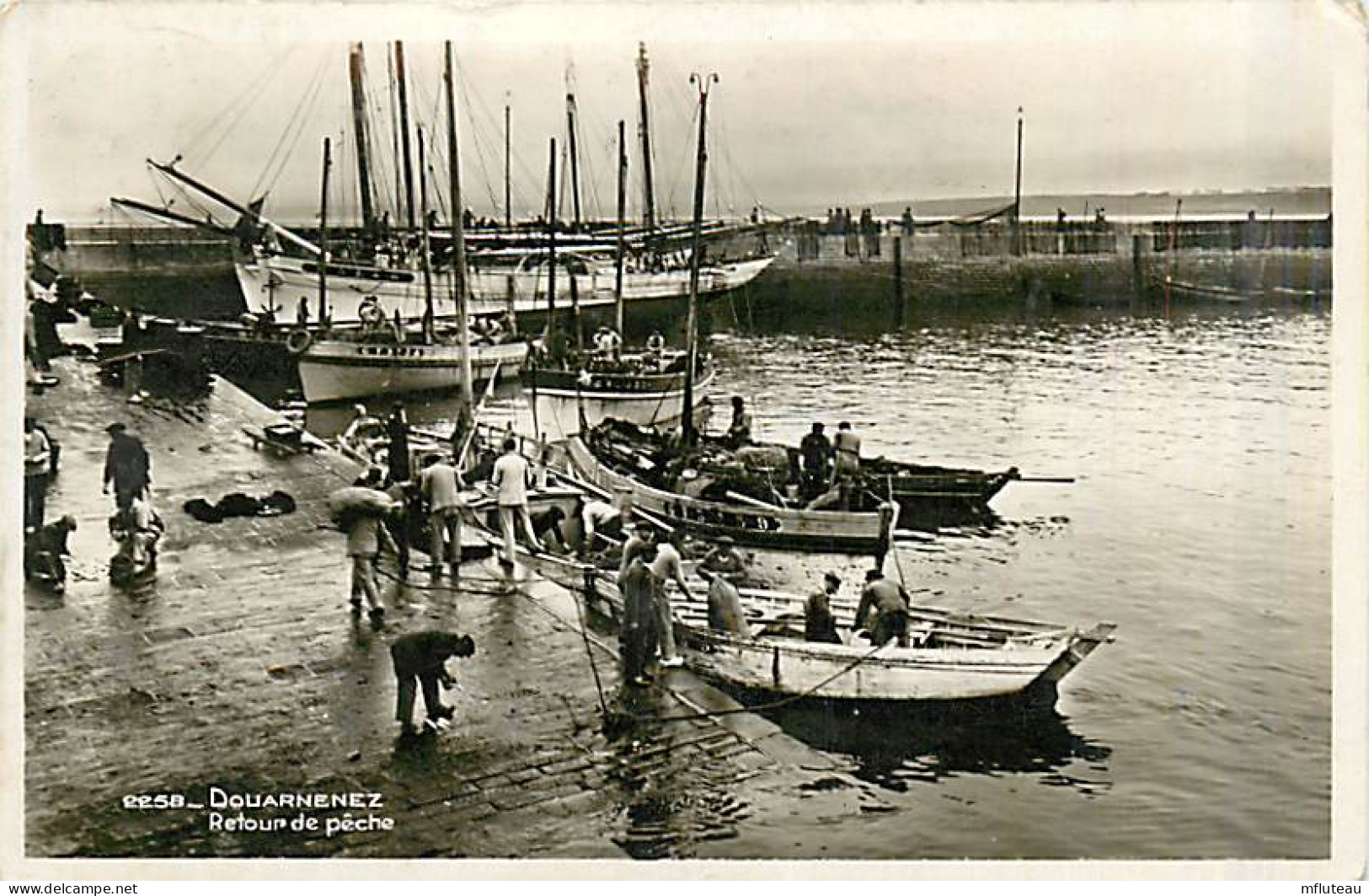 29* DOUARNENEZ  Retour De Peche          MA90,0814 - Douarnenez