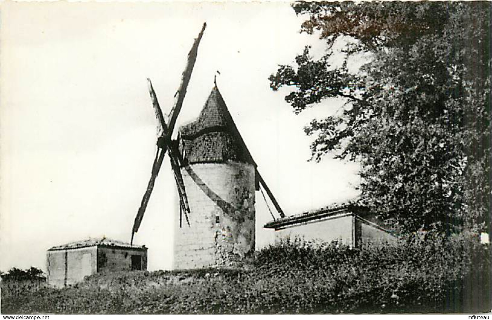 17* MORTAGNE SUR GIRONDE   Moulin  CPSM (petit Format)                 MA91-0283 - Sonstige & Ohne Zuordnung