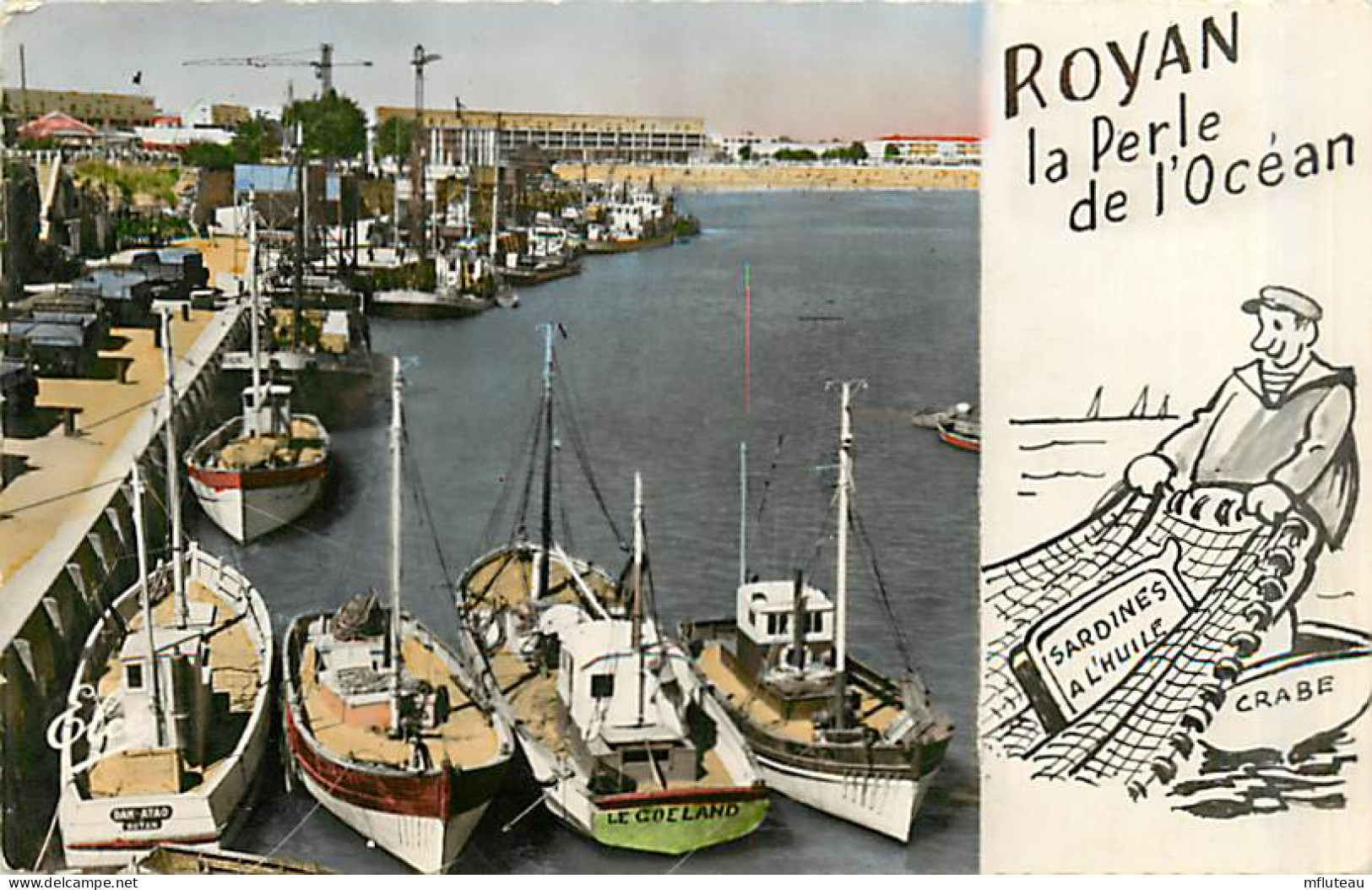 17* ROYAN  Port  CPSM (petit Format)               MA91-0280 - Royan