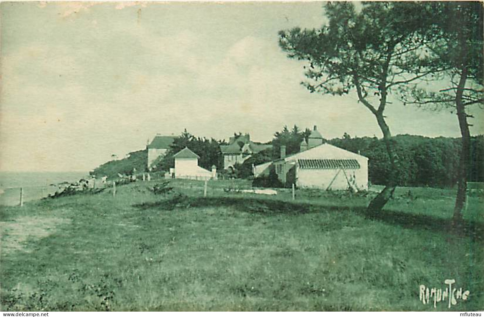 85* NOIRMOUTIER  Bois  De La Chaize                MA91-0250 - Noirmoutier