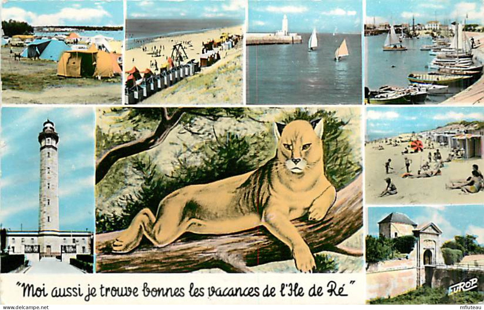 17* ILE DE RE  Multivues                  MA91-0203 - Ile De Ré