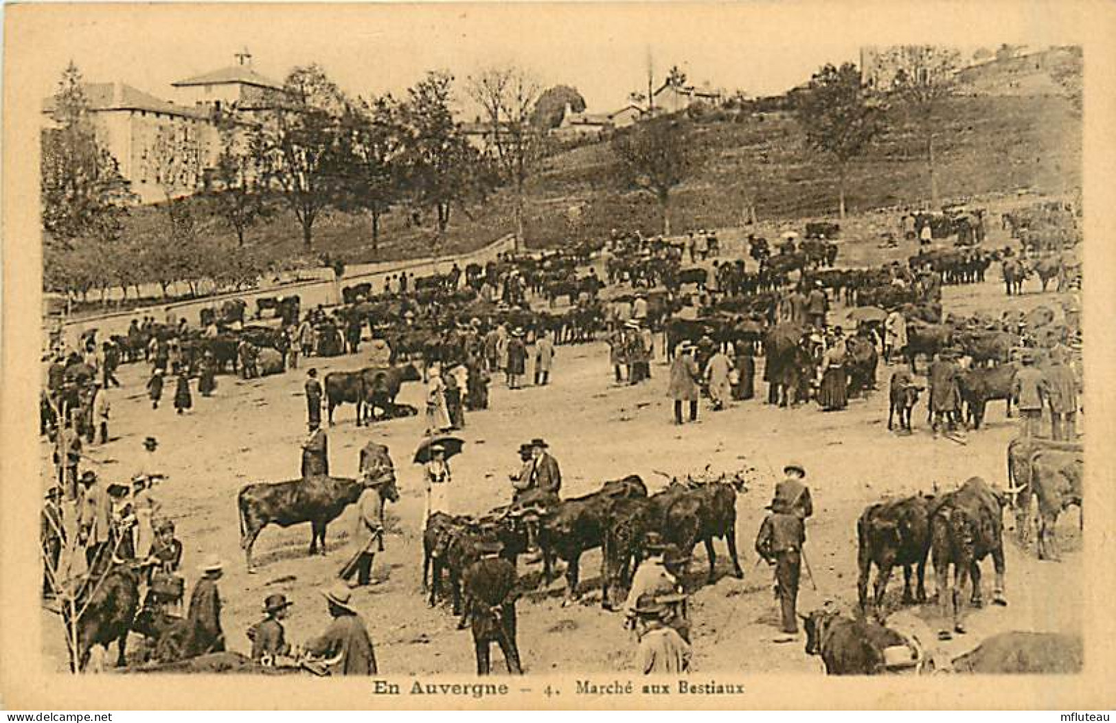 15* AUVERGNE Marche Aux Bestiaux                MA91-0068 - Autres & Non Classés