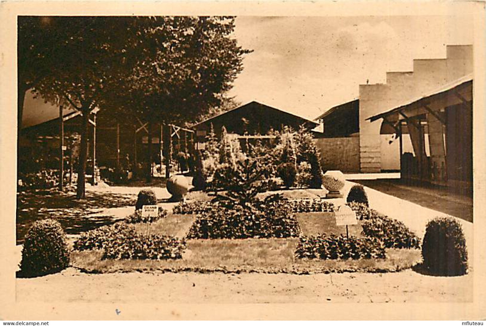 33* PONT DE LA MAYE  Pepinieres « commageres »          MA90,1243 - Autres & Non Classés