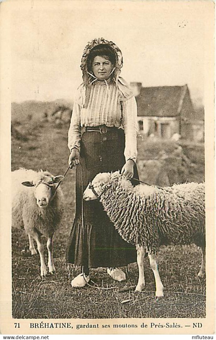 22* BREHAT  Brehatine  Moutons               MA91-1518 - Autres & Non Classés