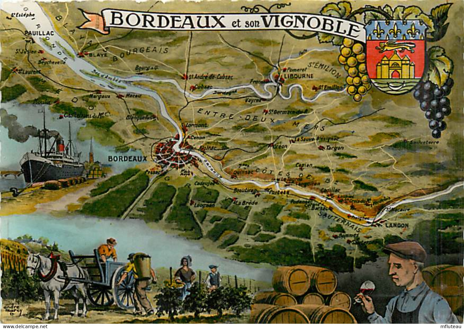 33* BORDEAUX   Et Son Vignoble  CPSM (10x15cm)               MA91-1500 - Bordeaux