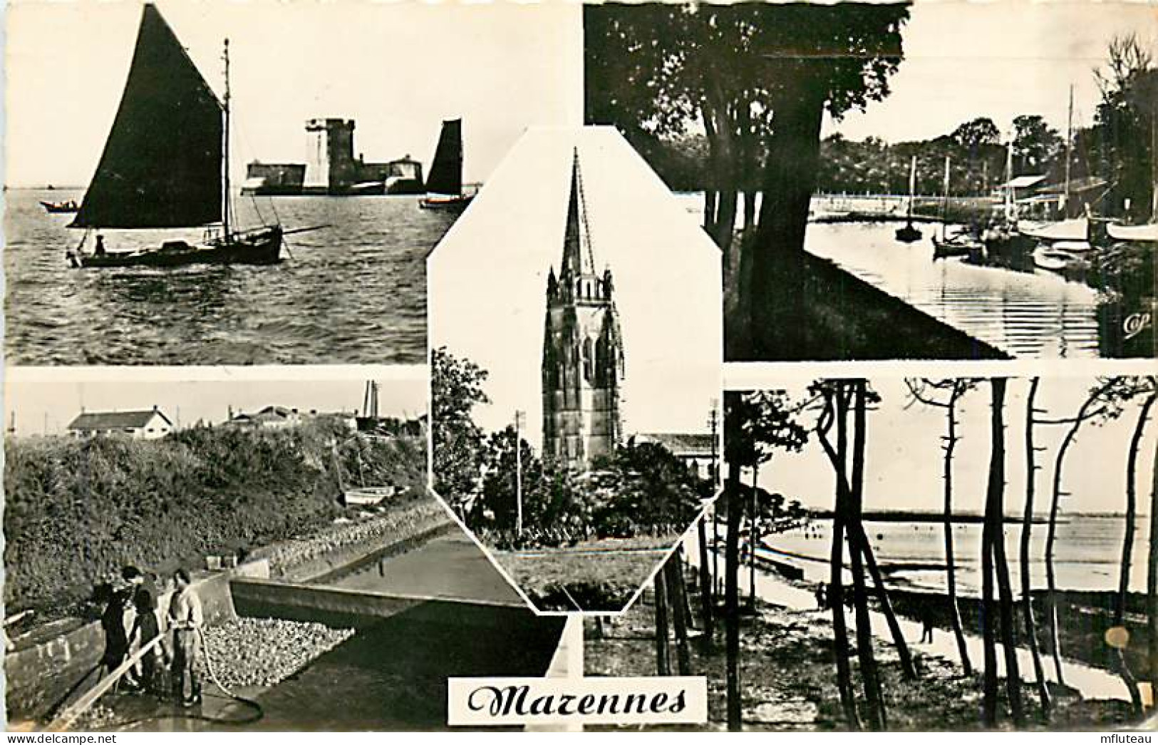 17* MARENNES  Multivues  CPSM (petit Format)                MA91-1466 - Other & Unclassified