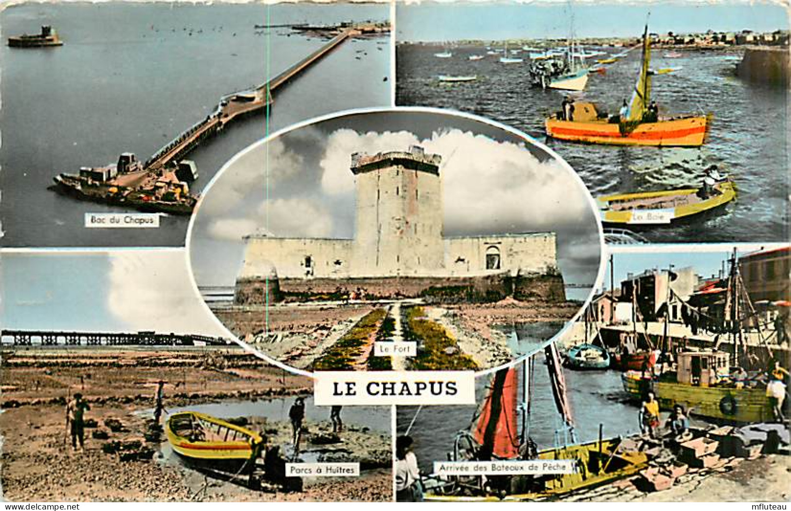 17* LE CHAPUS  Multivues  CPSM (petit Format)               MA91-1456 - Andere & Zonder Classificatie