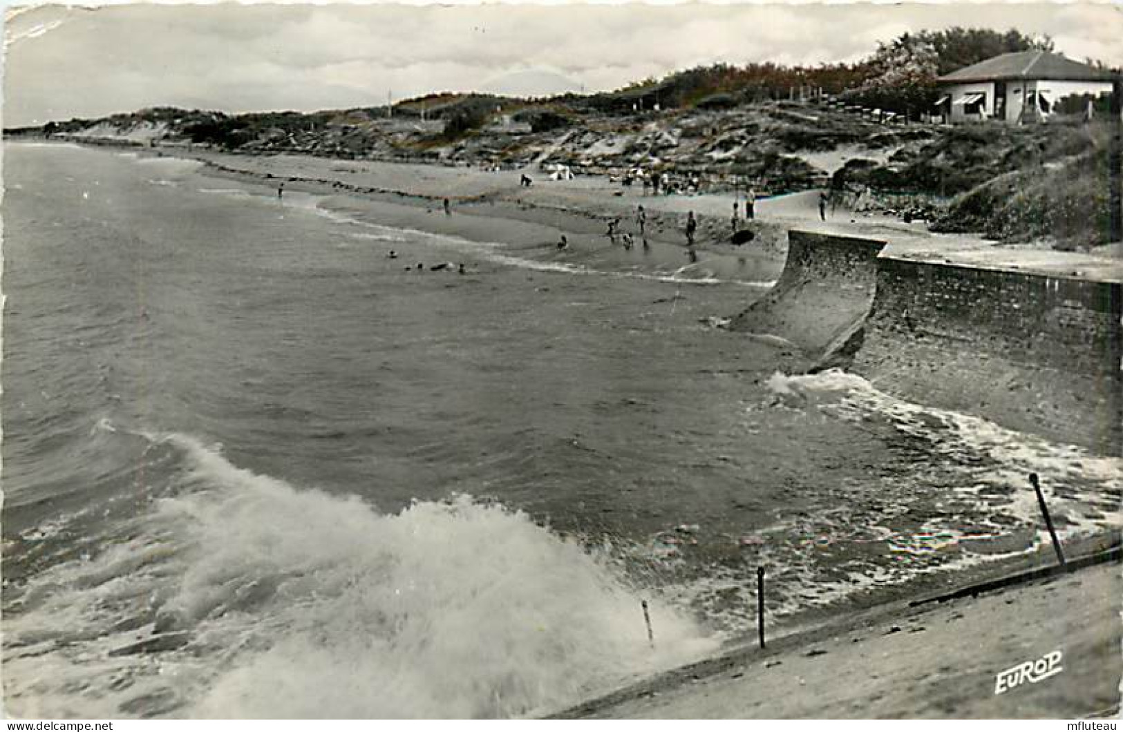 17* ILE D OLERONPointe Boulassiers  CPSM (petit Format)               MA91-1452 - Ile D'Oléron