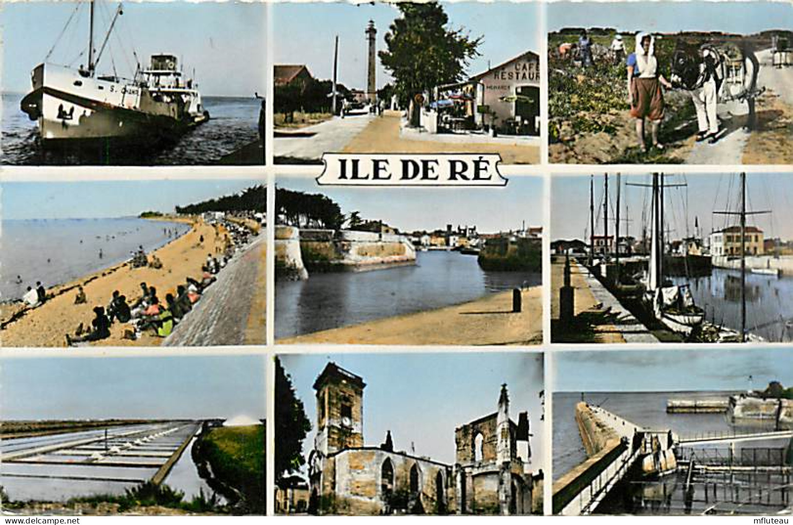 17* ILE DE RE  Multivues  CPSM (petit Format)               MA91-1453 - Ile De Ré