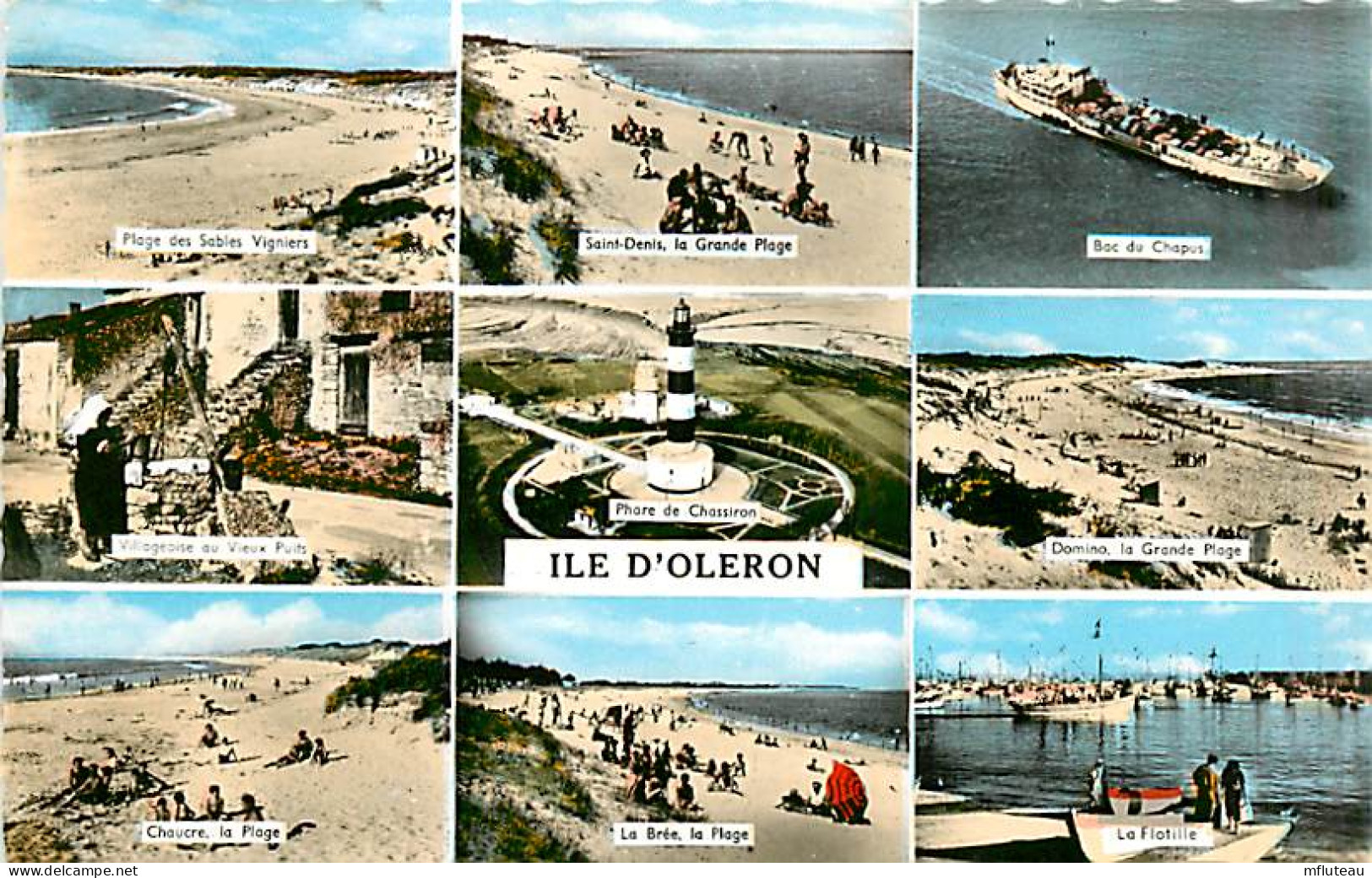 17* ILE D OLERON  Multivues  CPSM (petit Format)               MA91-1445 - Ile D'Oléron