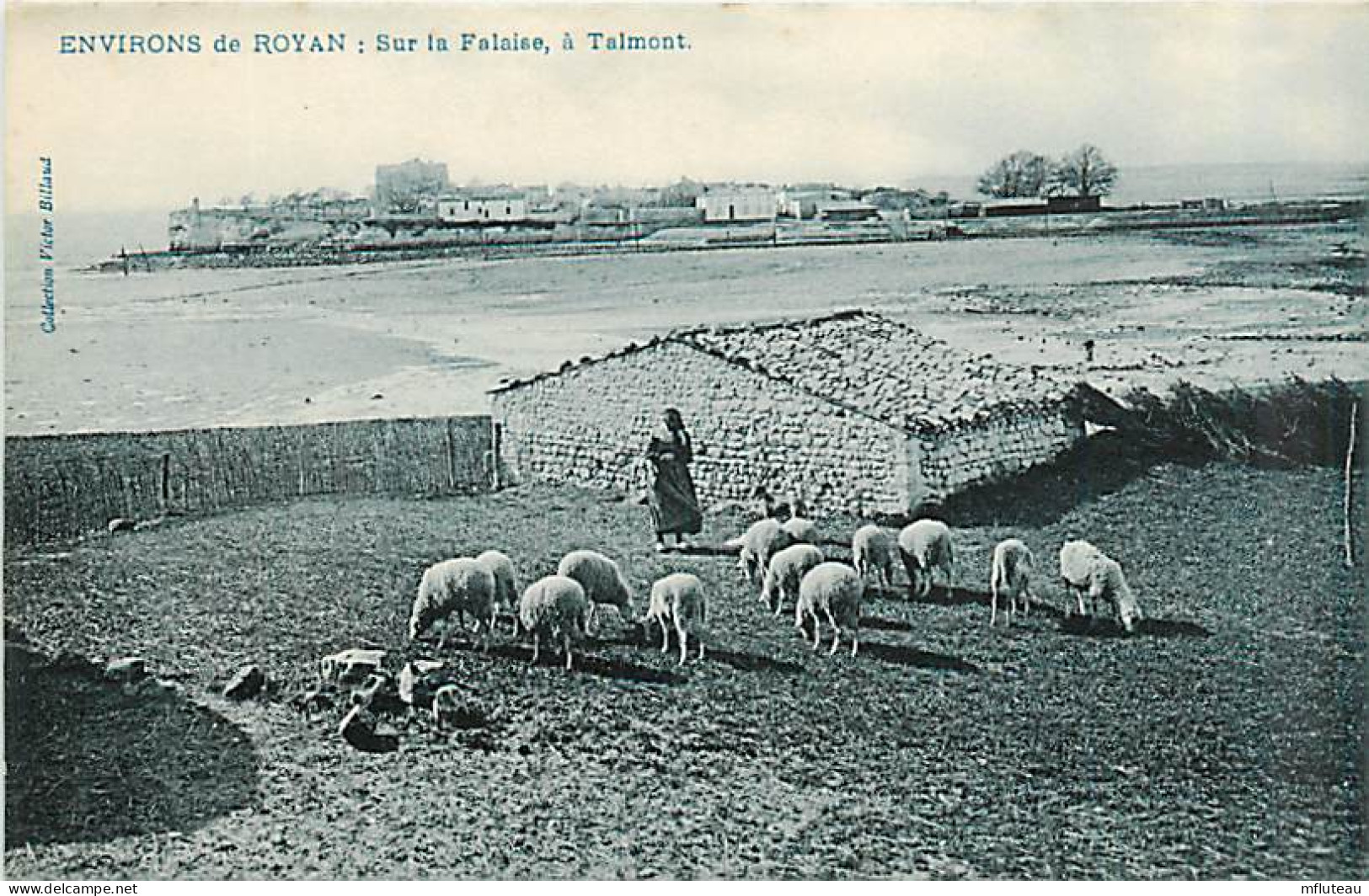 17* TALMONT  Moutons                 MA91-1431 - Autres & Non Classés