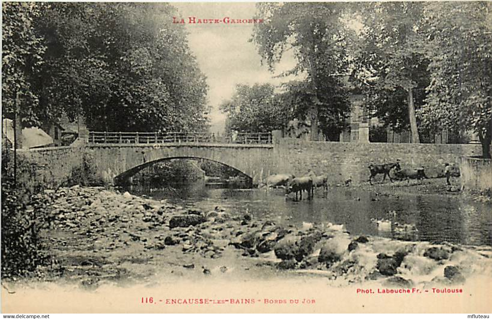 31* ENCAUSSE LES BAINS   Pont , Job    MA92,0812 - Autres & Non Classés