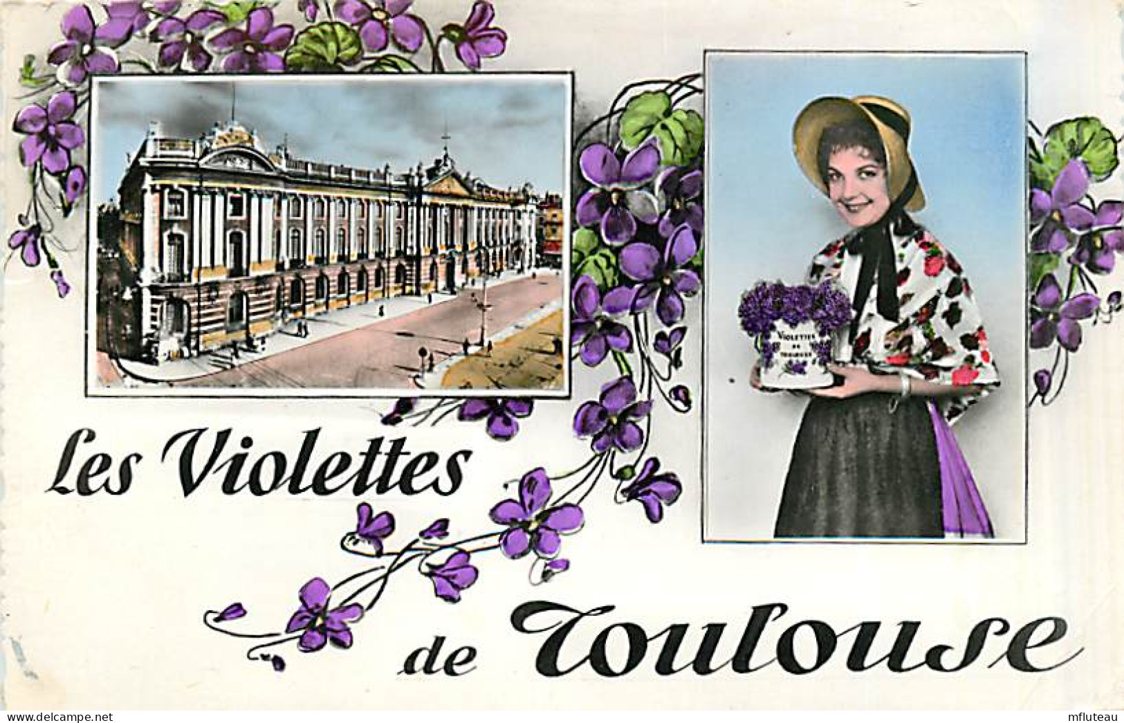 31* TOULOUSE   Violettes  (CPSM Petit Format)    MA92,0753 - Toulouse