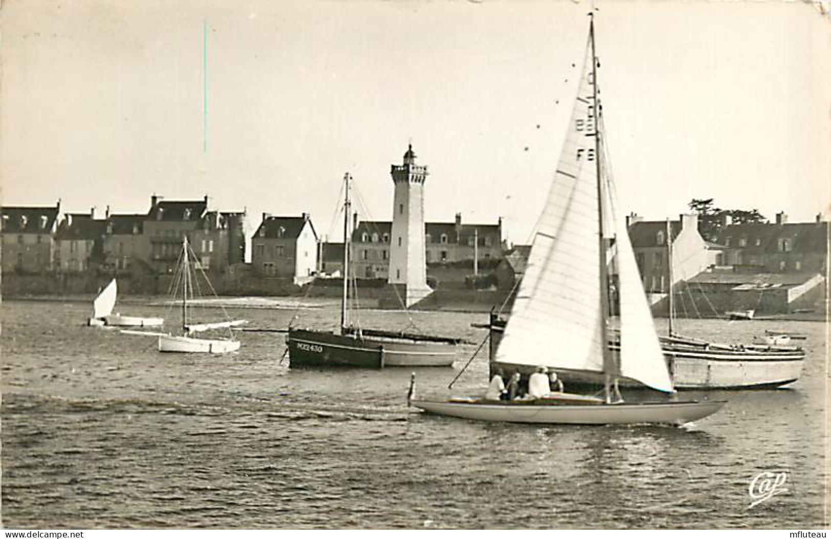 29* ROSCOFF  Port  (CPSM Petit Format)    MA92,0479 - Roscoff