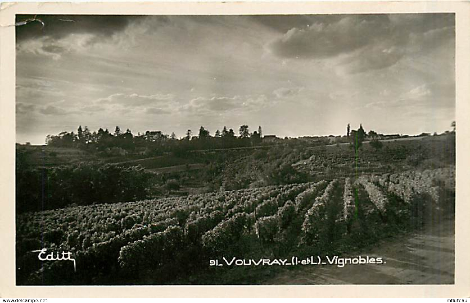 37* VOUVRAY Vignobles    MA92,1209 - Sonstige & Ohne Zuordnung