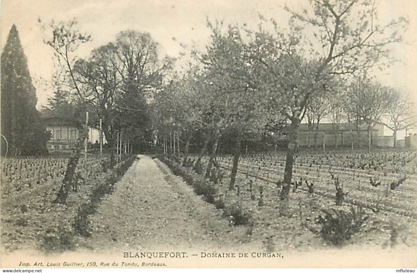 33* BLANQUEFORT  Domaine De Curgan     MA92,0976 - Blanquefort