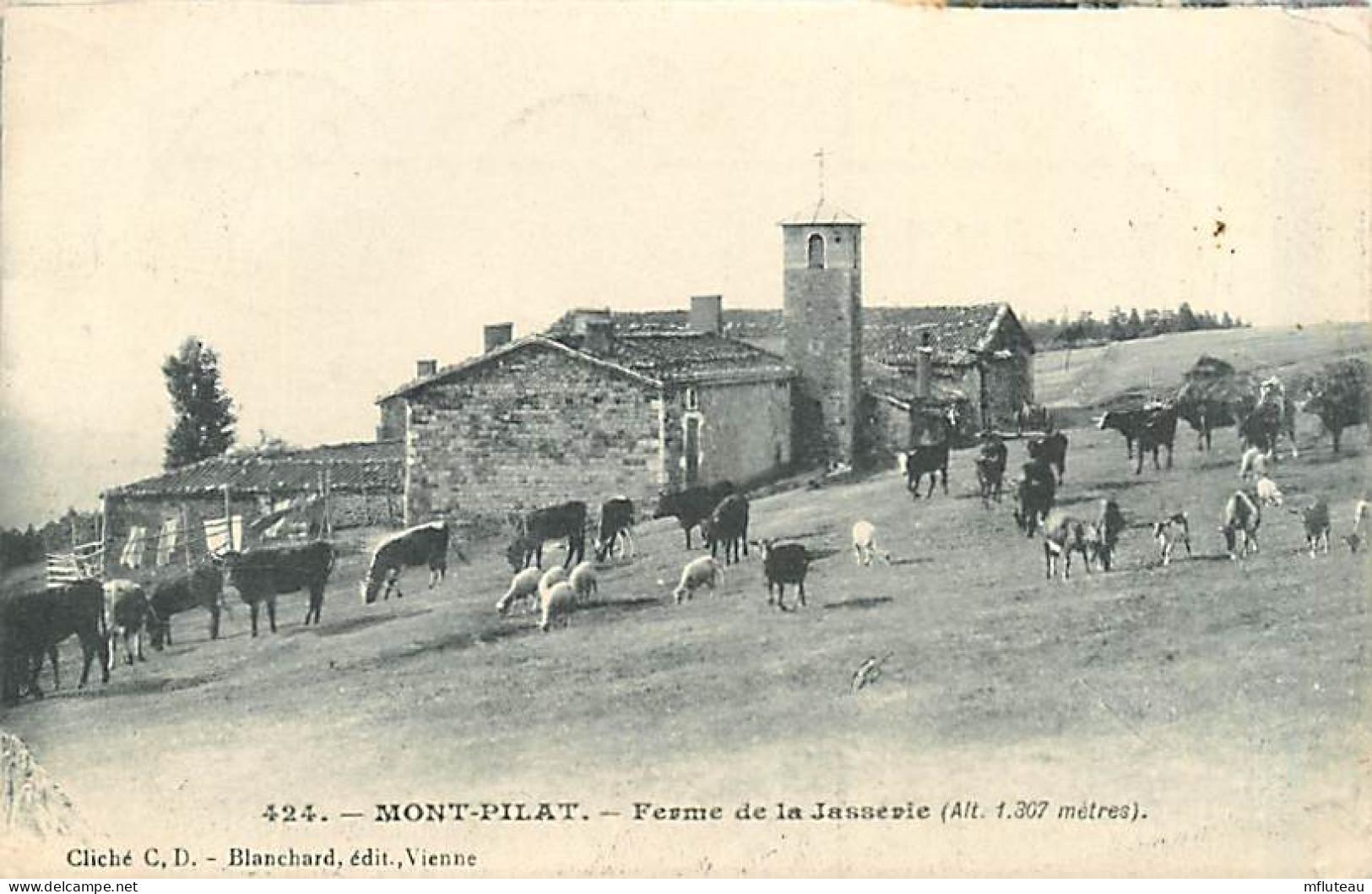 42* MONT PILAT  Ferme De La Jasserie                 MA93,0097 - Mont Pilat